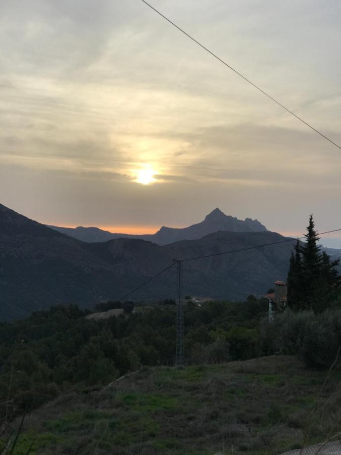 Ca Lidia - Apartamentos Turisticos El Balconet Benimantell Exteriér fotografie